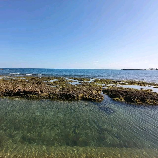 在冬天仍如此湛藍的海，在日本沖繩