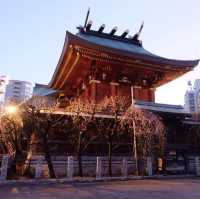 เที่ยวชมศาลเจ้า 湯島天神 Yushima Tenjin