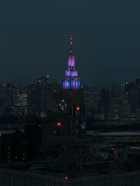 Sky-High Views at Tokyo Metropolitan Government Building Observatory