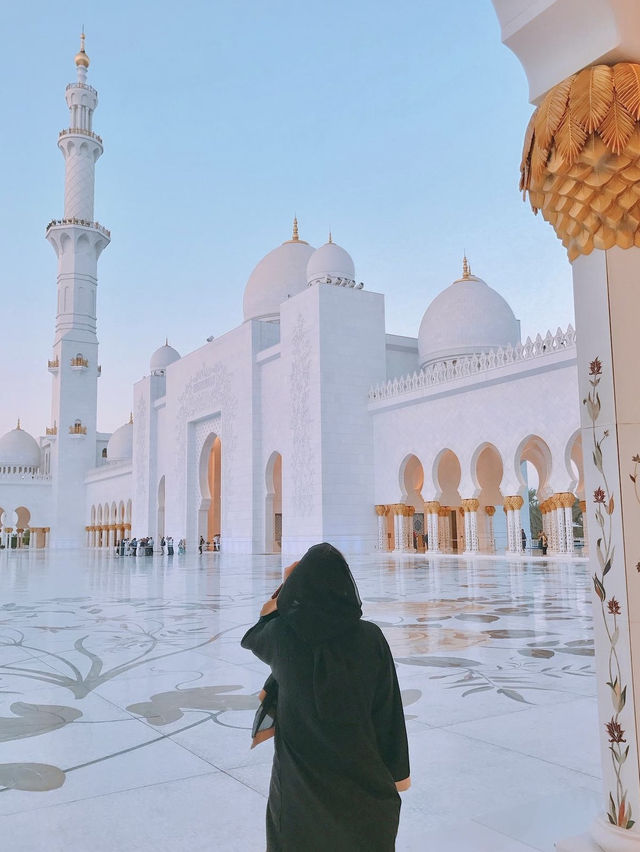 【リアルアラジンの世界🕌】豪華絢爛なアブダビのモスク🧡