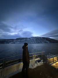 Whale Watching; Must Do in Tromso