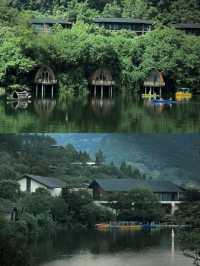 富春芳草地|住進百畝依山傍水的天然林地裡