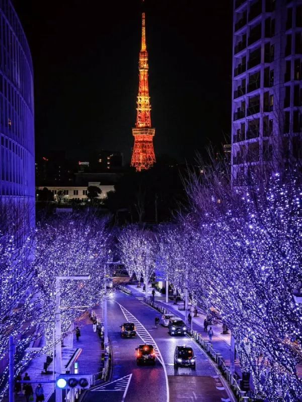 Tokyo's Exclusive Christmas Illumination is Back!