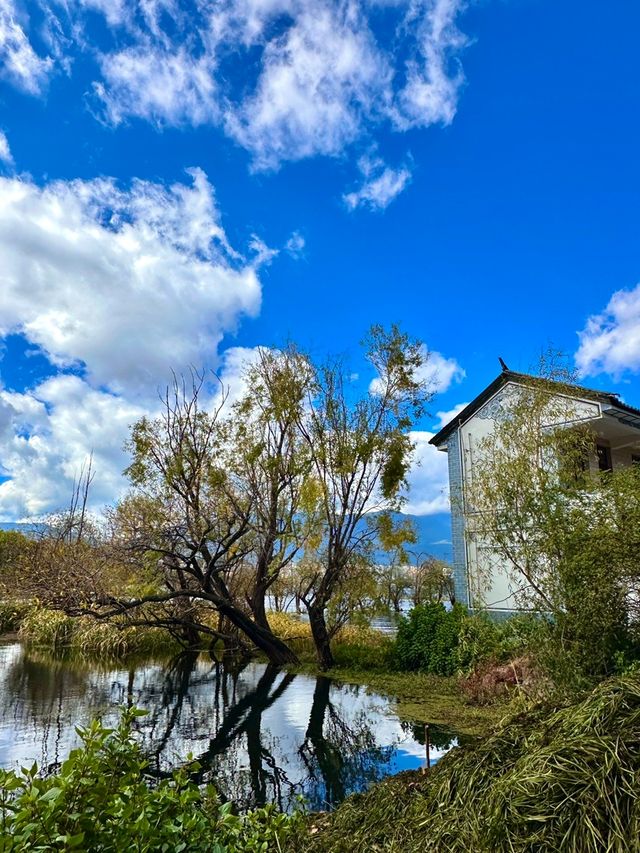 秋日洱海風景區遊玩攻略。