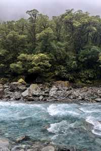 蒂阿瑙—米爾福德峽灣沿途的治癒系風景