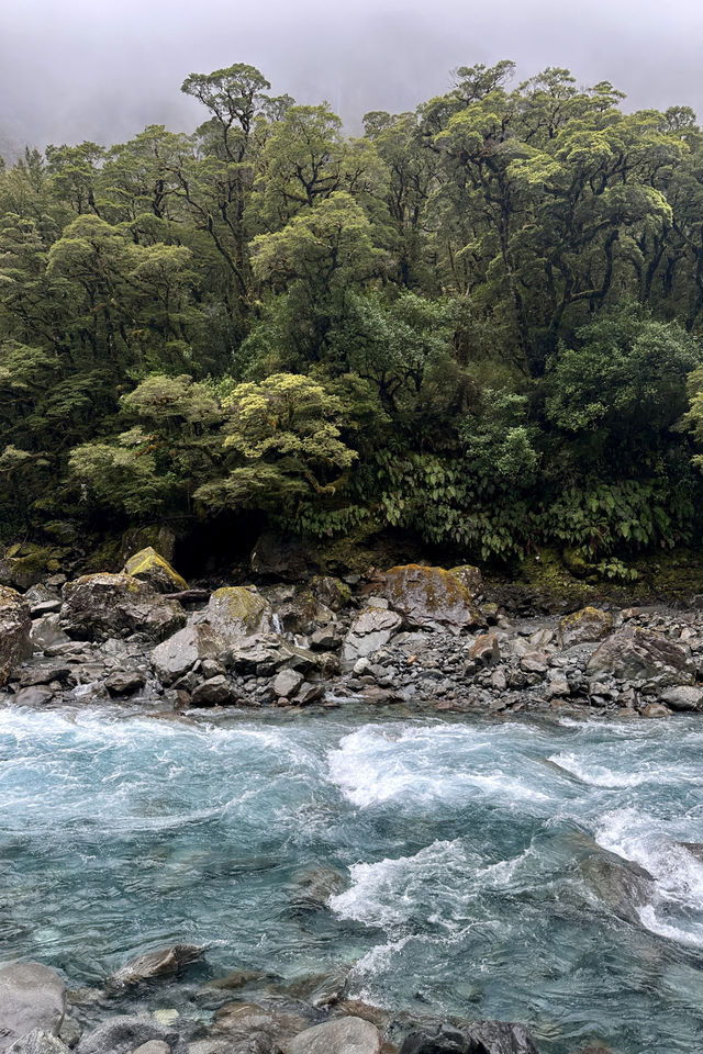 蒂阿瑙—米爾福德峽灣沿途的治癒系風景