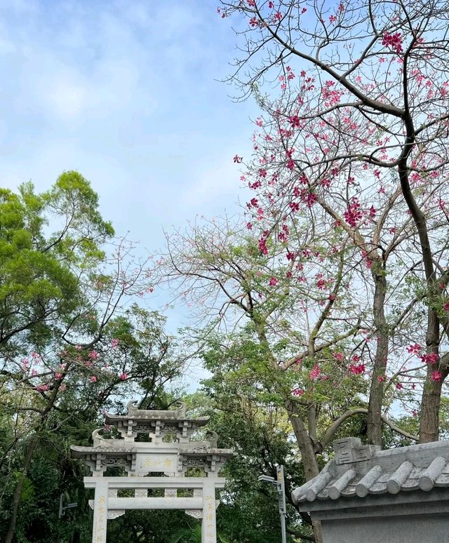 保姆級教程 | 白雲山山頂洞機位怎麼去？懶人看過來