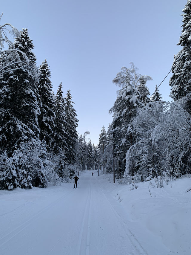 A Day in Oslo: Skiing from Dawn to Dusk