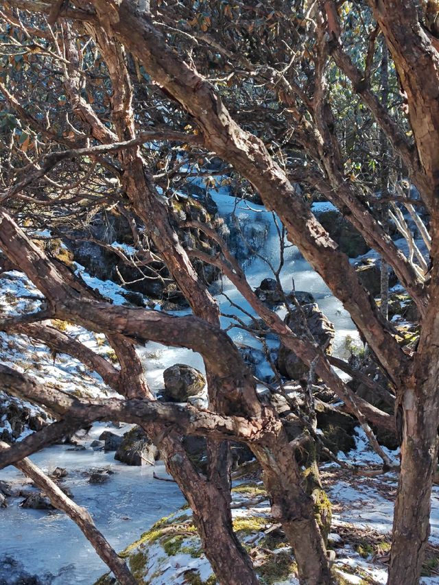 轎子雪山旅遊攻略