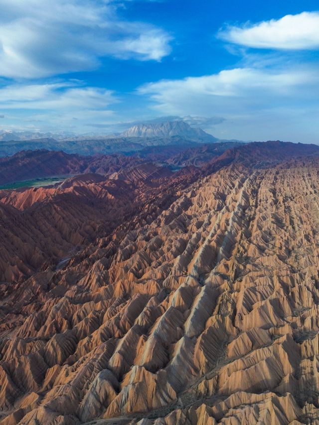 阿勒泰地區-伊犁老友出遊全攻略美景與回憶雙贏