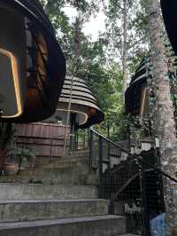 Lush greenery cafe in Ubud