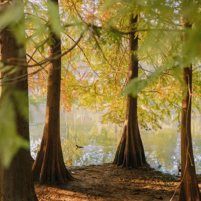 🥁🌳 打鼓嶂～奏響自然旋律🌄🥁🏞️