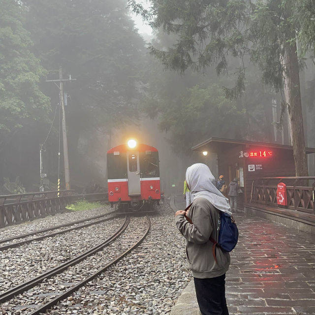 Stunning Alishan✨