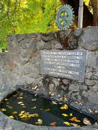 Albury Botanic Gardens