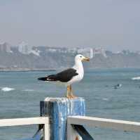 Lima, Peru