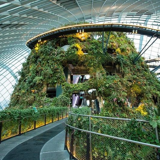 Most beautiful indoor garden in Singapore 🇸🇬 