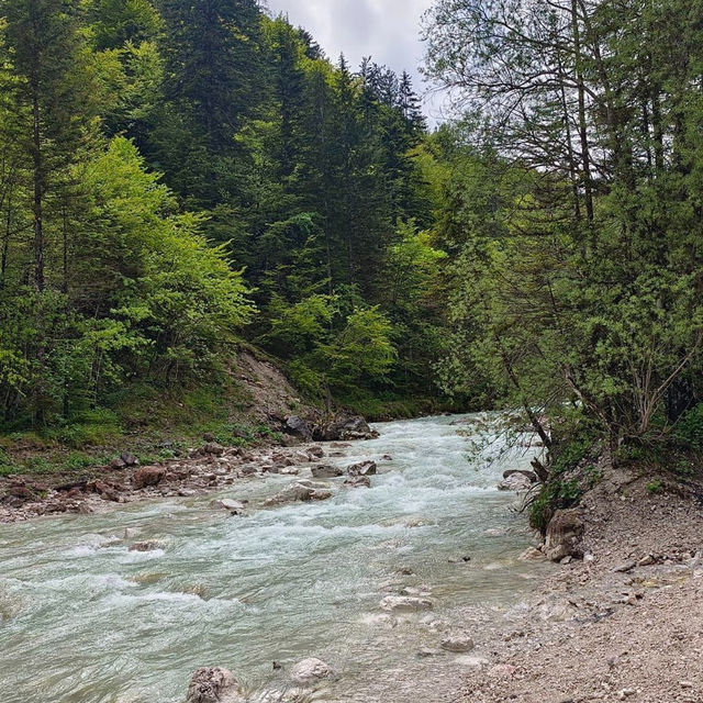 Slovenian Splendor: Unveiling Triglav National Park's Hidden Gems 