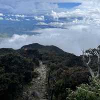 Mount Kinabalu - Heaven on Earth ; the best view comes after the hardest climb