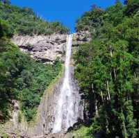 【和歌山】落差日本一の名瀑！那智の滝