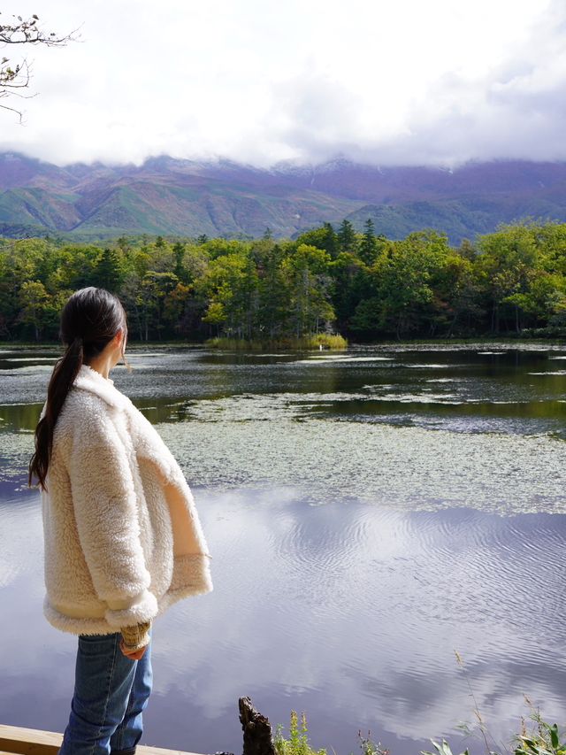 北海道｜野生動物と植物の宝庫⋆꙳世界自然遺産 知床半島