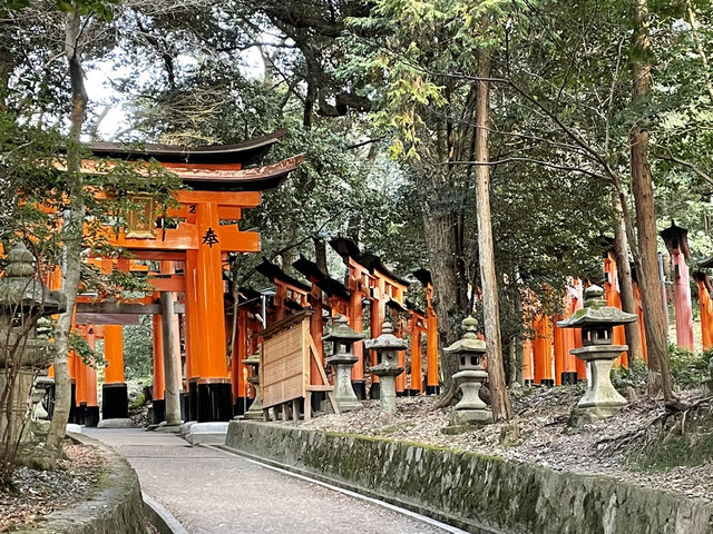 Pathways to Purity: Exploring the Timeless Trails of Fushimi Inari