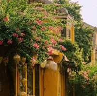 Hoi An Ancient Town