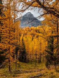 🥰Fall in Love with Banff: A Guide to Canada’s Mountain Paradise