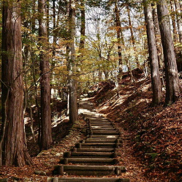 大阪上本町🍃明治風的“秋日漫遊”