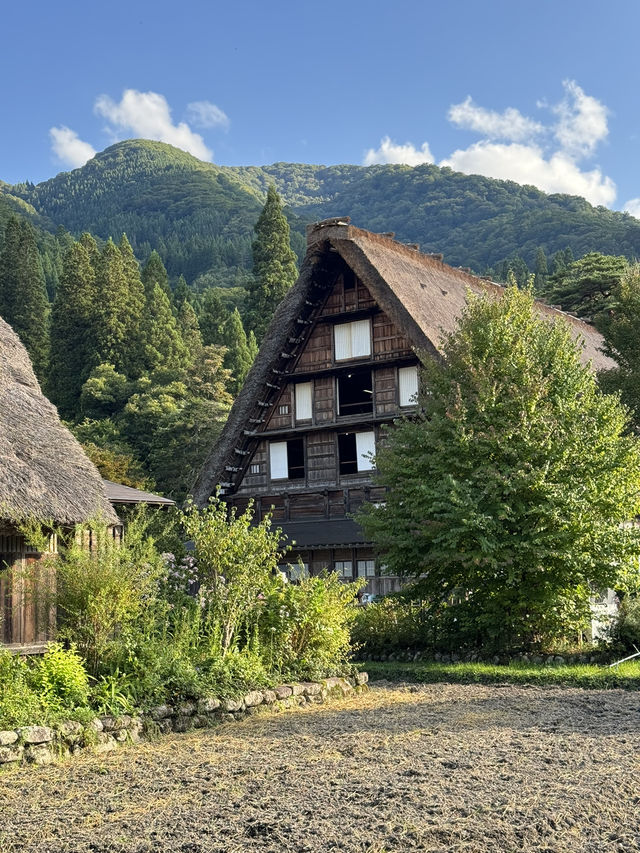 夢想の白川鄉