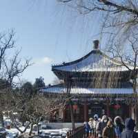 Yuanmingyuan: A Symbol of Beauty Lost to Time