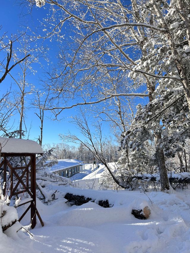 冬日戀歌要去雪鄉等地美哭了。