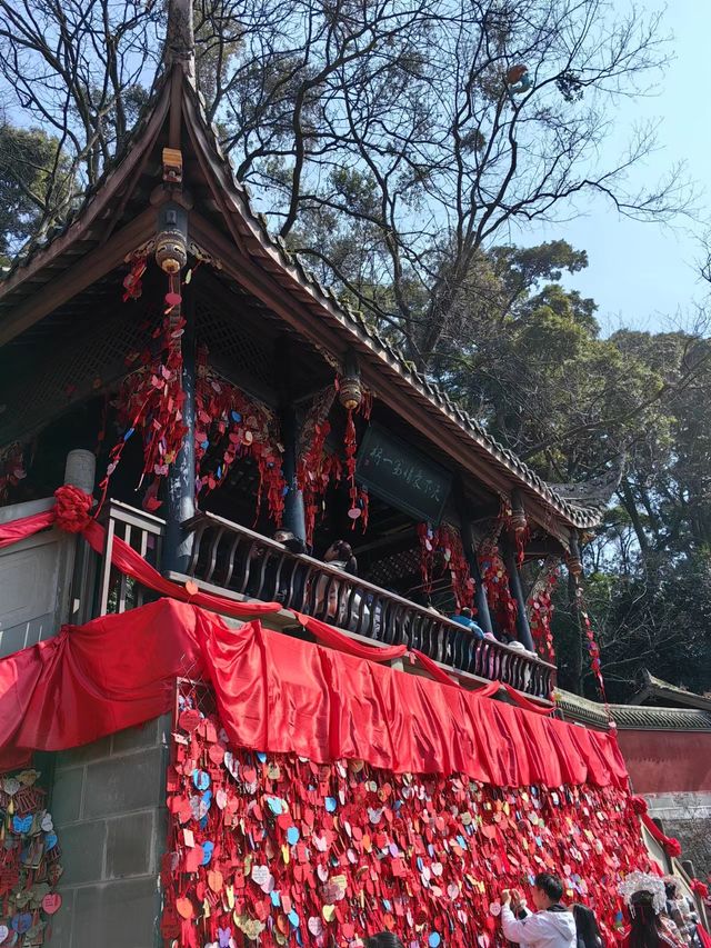 春節【青城山（前山）-都江堰】1日遊攻略