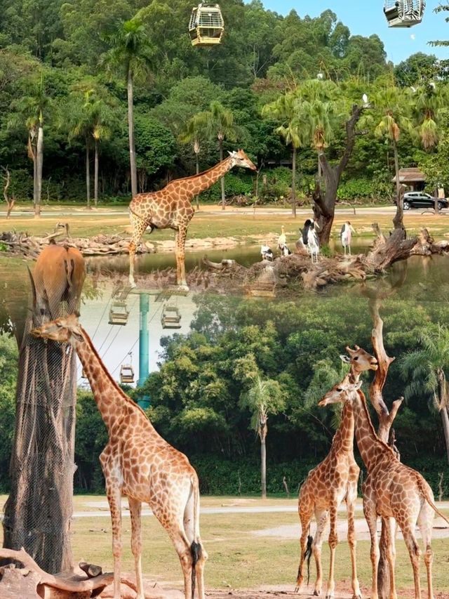 勇闖動物世界   見證原始動物景象