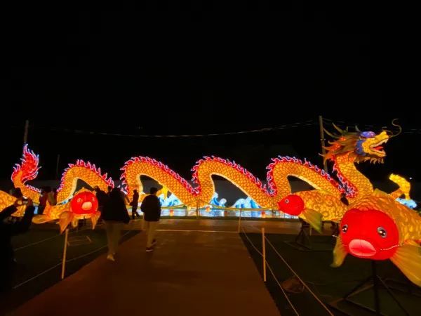 Experience the Magic of ILLUMI Light Show This Year