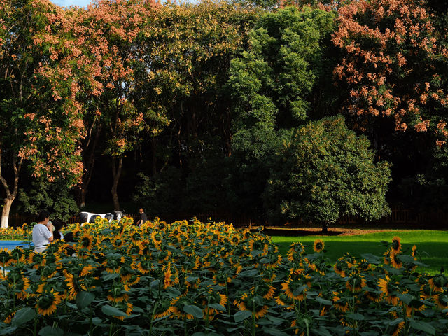 南京最被低估的寶藏公園，可以在這玩一整天