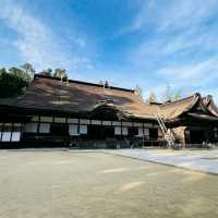 Visit Koyansan World Heritage with Nankai All Line 2 Day Pass