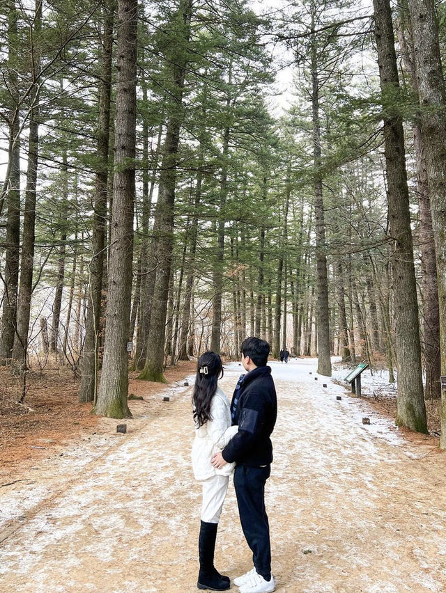 뽀드득 눈밭 위를 걸으며 피톤치드 충전🌳