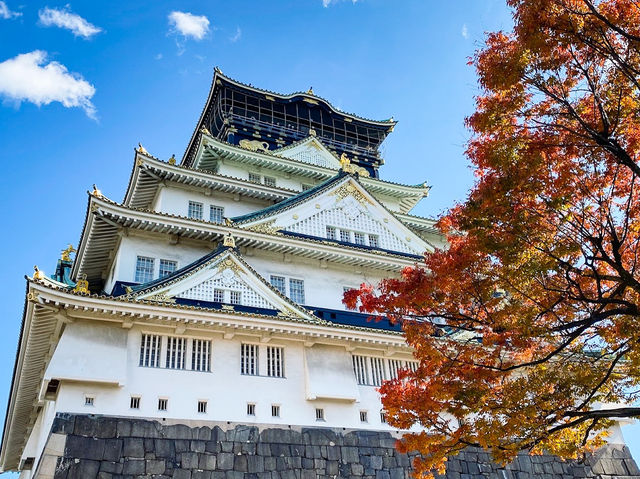 A Stroll Through History at Osaka Castle Park