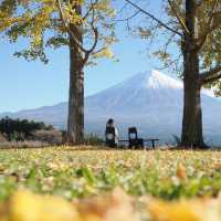 富士宮市の白糸自然公園