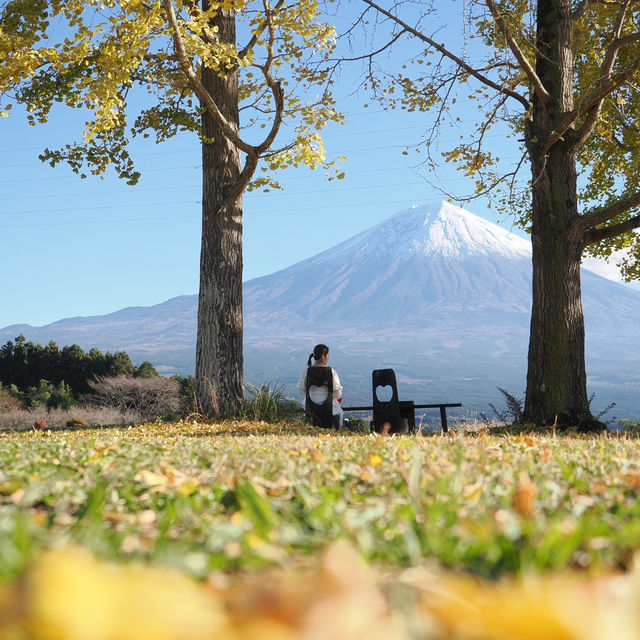 富士宮市の白糸自然公園