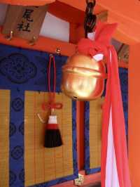 A Rainy Spring Stroll Through Fushimi Inari Taisha