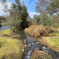 Alpine Serenity: Strolling Through Myrtleford