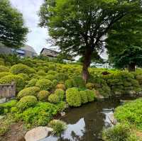 東京根津神社 - 歷史與人類的連結