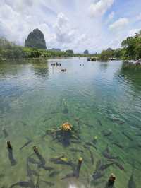 Crystal Oasis at Klong Root