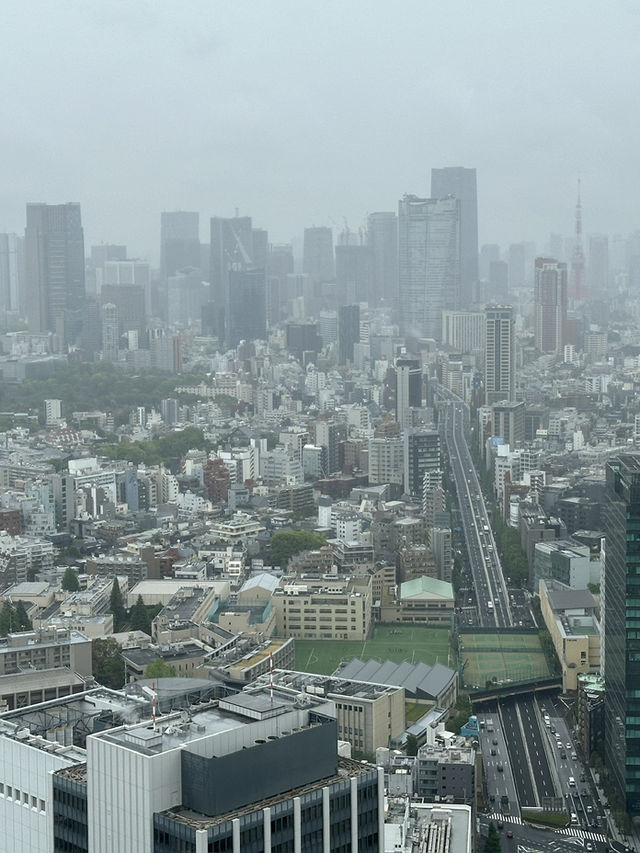  Soaring Above Tokyo: The Magic of Shibuya Sky