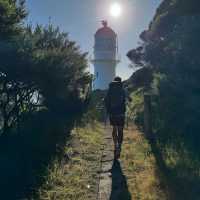 Guiding Lights and Epic Hikes: Discover Cape Brett Lighthouse