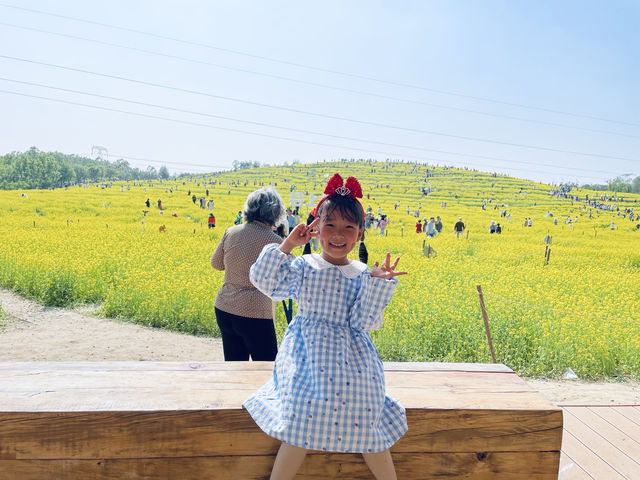 這油菜花也太美了吧！