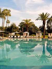 🌹✨ Rabat's Rose Garden Retreat: Sofitel's Charm 🏨✨