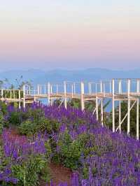 Ying Yong Flower Garden is Mesmerizing ❤️