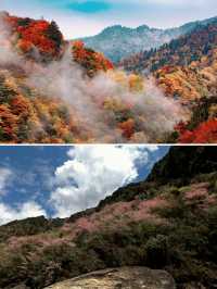 探秘歷史韻味的寶藏小城｜廣元青川旅遊攻略